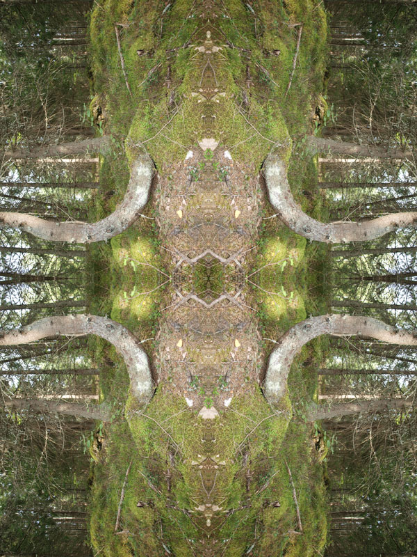 Monster no.1Konst Konstnär Norrtälje Riala Fotokonstnär Fotokonst