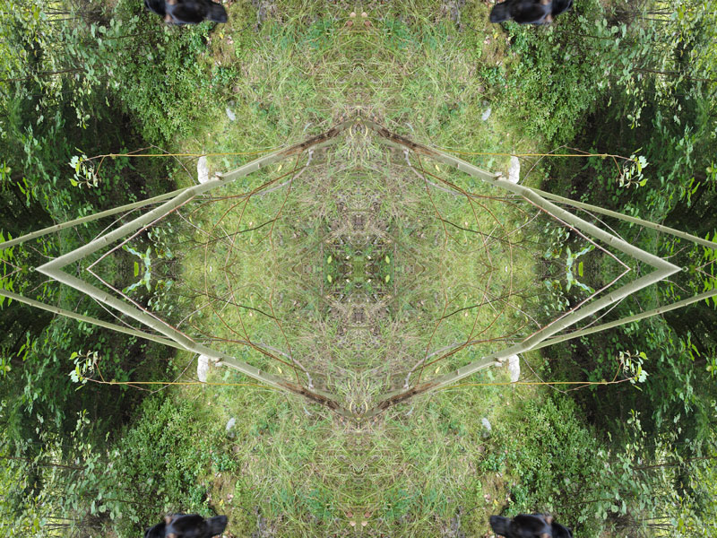 Dreamcatcher Konst Konstnär Norrtälje Riala Fotokonstnär Fotokonst