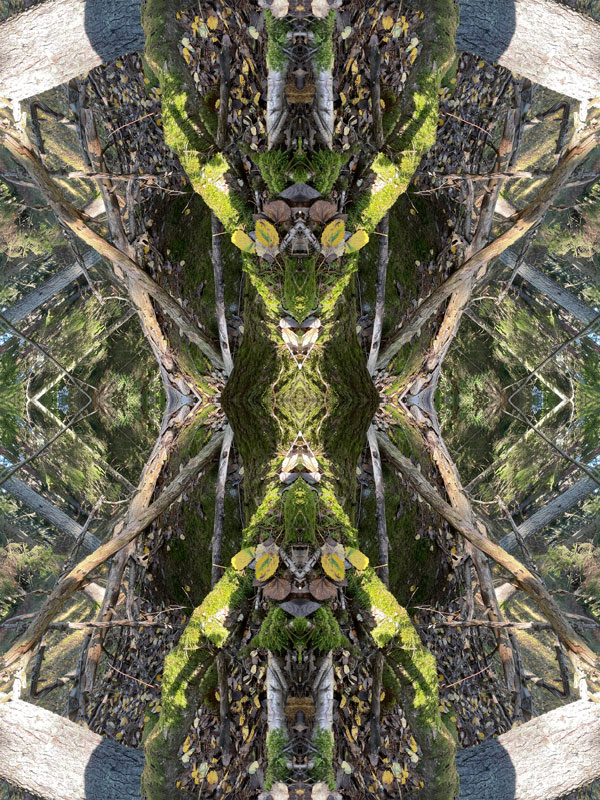 Extra no.3 Konst Konstnär Norrtälje Riala Fotokonstnär Fotokonst