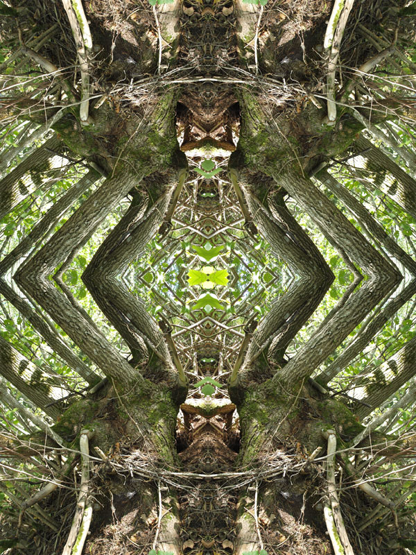 Cryssy no.4 Konst Konstnär Norrtälje Riala Fotokonstnär Fotokonst