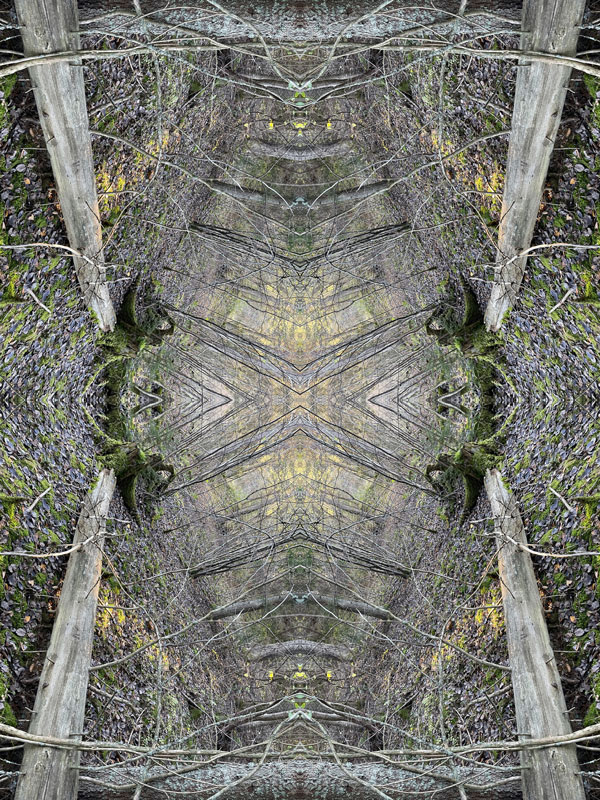 Opopop no.4 Konst Konstnär Norrtälje Riala Fotokonstnär Fotokonst