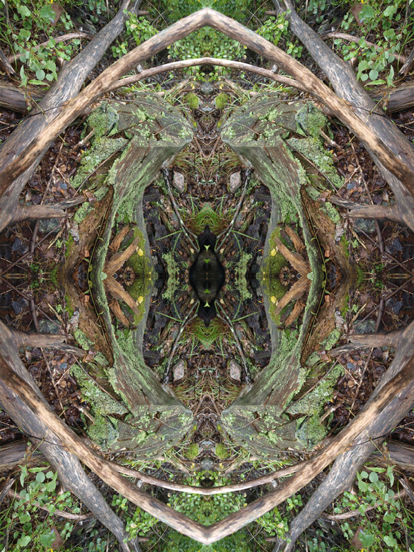Eye No.1