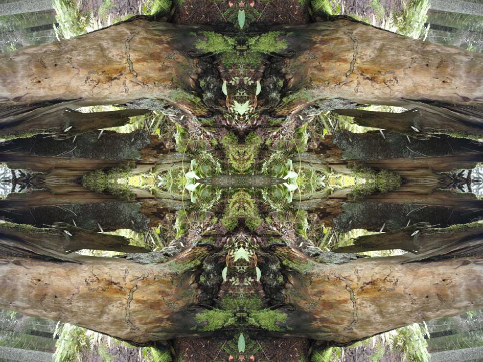 Biotop No.2