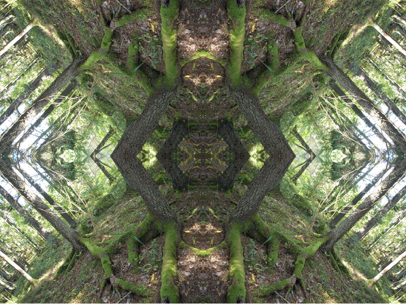 Portal No.1