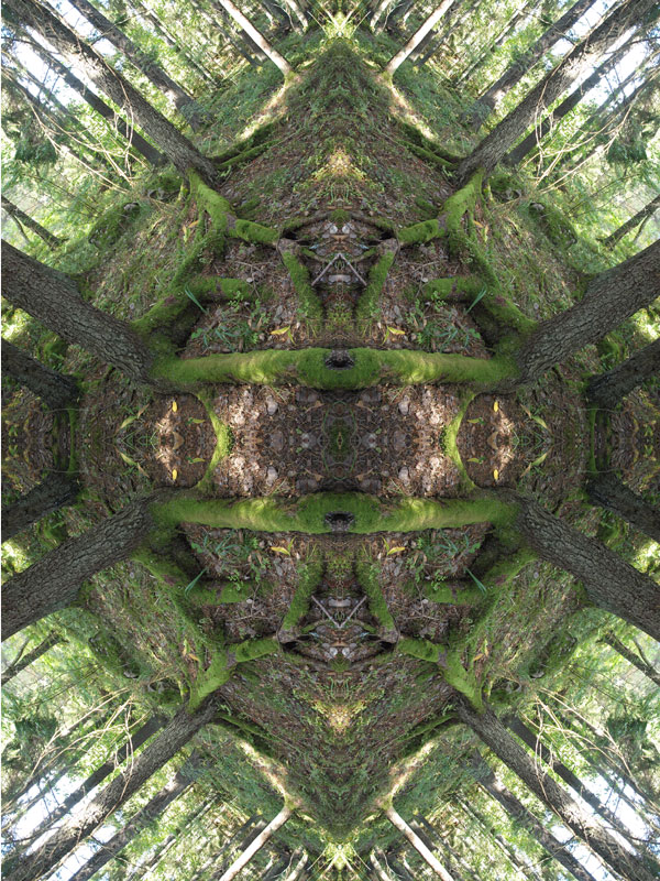 Portal No.2