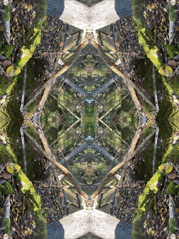 Extra no.2 Konst Konstnär Norrtälje Riala Fotokonstnär Fotokonst