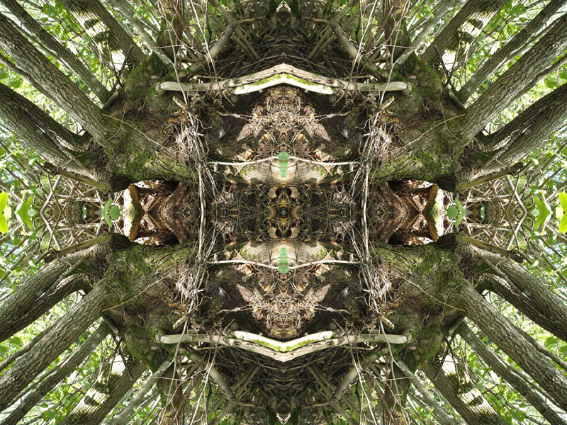 Cryssy no.2 Konst Konstnär Norrtälje Riala Fotokonstnär Fotokonst