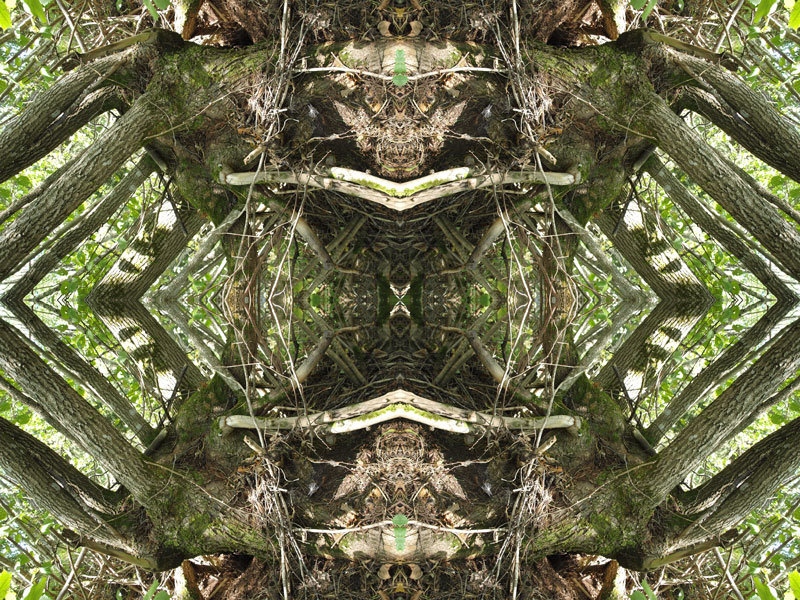 Cryssy no.3 Konst Konstnär Norrtälje Riala Fotokonstnär Fotokonst
