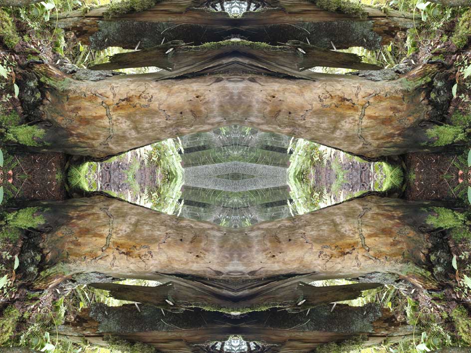 Biotop No.3