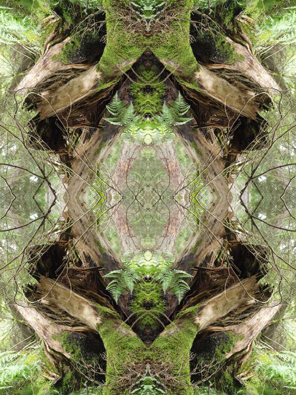 Web no.3 Konst Konstnär Norrtälje Riala Fotokonstnär Fotokonst