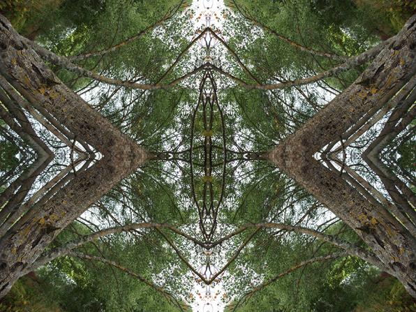 Virrvarr no.1 Konst Konstnär Norrtälje Riala Fotokonstnär Fotokonst