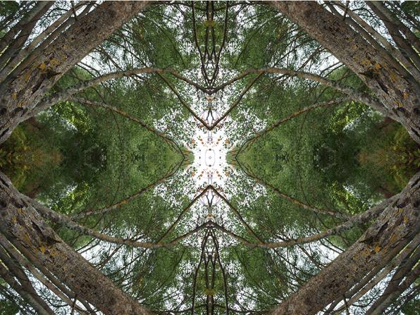 Virrvarr no.2 Konst Konstnär Norrtälje Riala Fotokonstnär Fotokonst