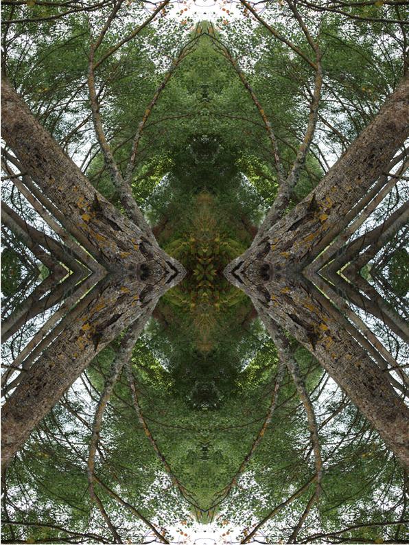 Virrvarr no.3 Konst Konstnär Norrtälje Riala Fotokonstnär Fotokonst